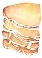 Medusomyces gisevii ?