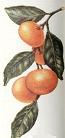 Tangerine, Mandarine
